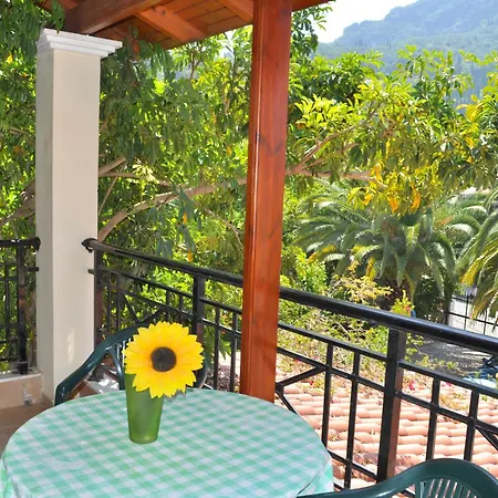House Litsa 50 Metres From Agios Gordios 2br Άγιος Γόρδιος